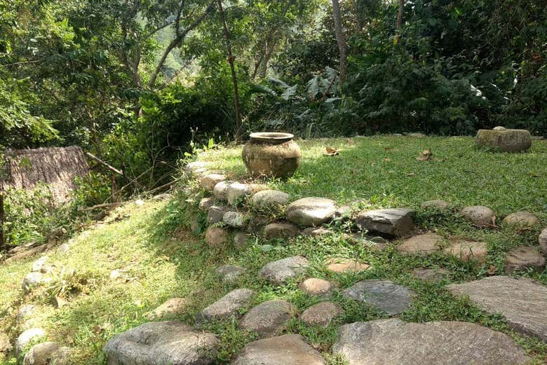 Excursión a Taironaka
