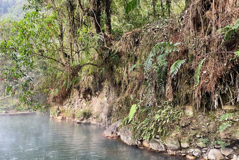 Excursión a los termales de San Vicente
