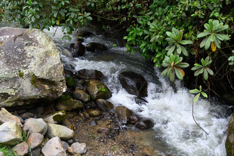 Excursión a los termales de San Vicente