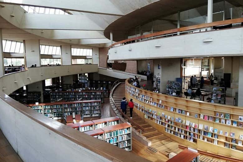 Tour por el Parque Simón Bolívar y la Biblioteca Virgilio Barco