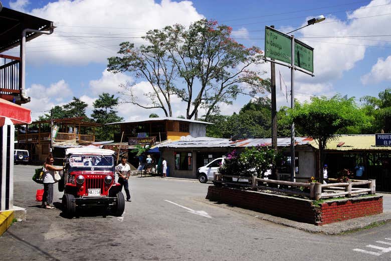 Excursión privada a Córdoba, Pijao y Buenavista