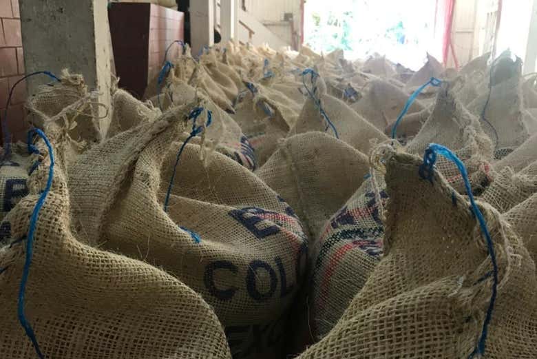 Visita a una finca cafetera + Cata de cervezas artesanales