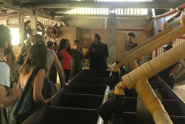 Visita a una finca cafetera + Cata de cervezas artesanales