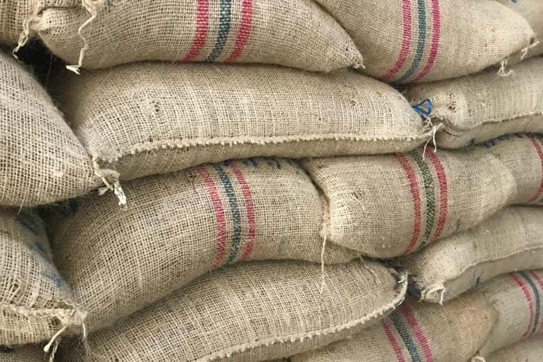Visita a una finca cafetera + Cata de cervezas artesanales