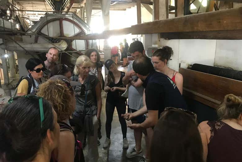 Visita a una finca cafetera + Cata de cervezas artesanales