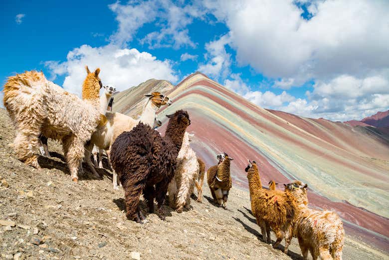 Trekking por la montaña Palcoyo