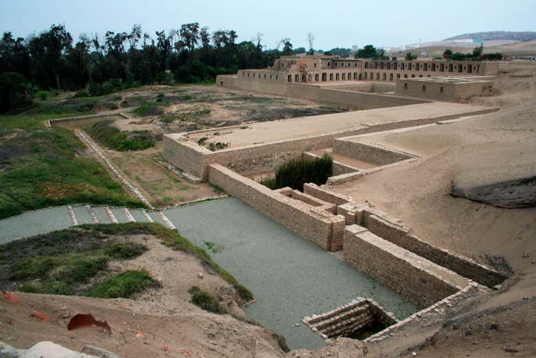 Tour por Pachacamac + Exhibición de caballos peruanos de paso