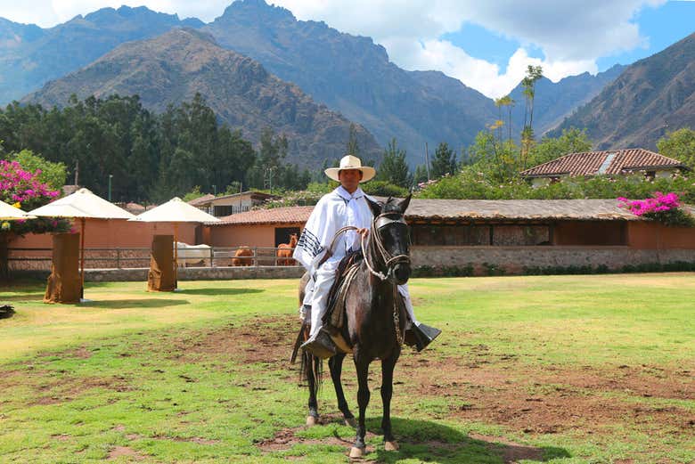 Tour por Pachacamac + Exhibición de caballos peruanos de paso