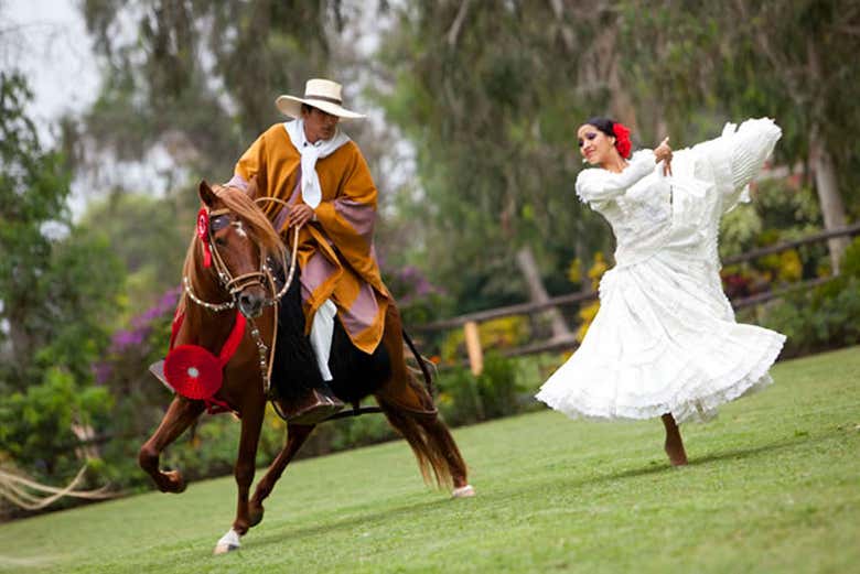 Tour por Pachacamac + Exhibición de caballos peruanos de paso
