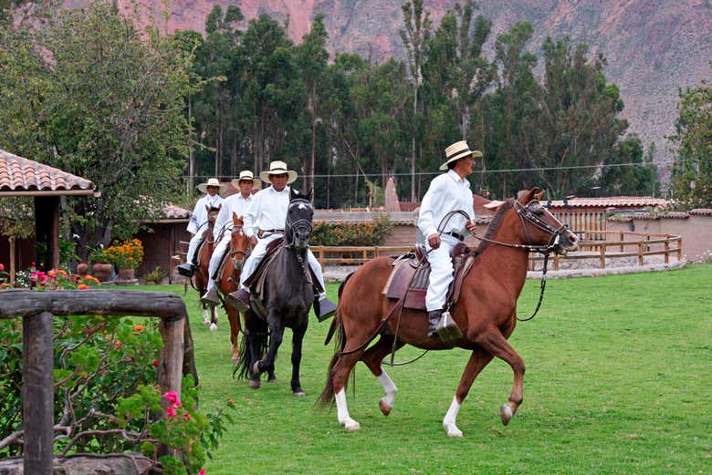 Tour por Pachacamac + Exhibición de caballos peruanos de paso