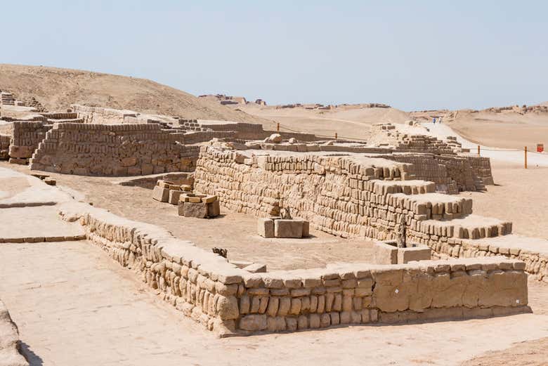 Tour por Pachacamac + Exhibición de caballos peruanos de paso