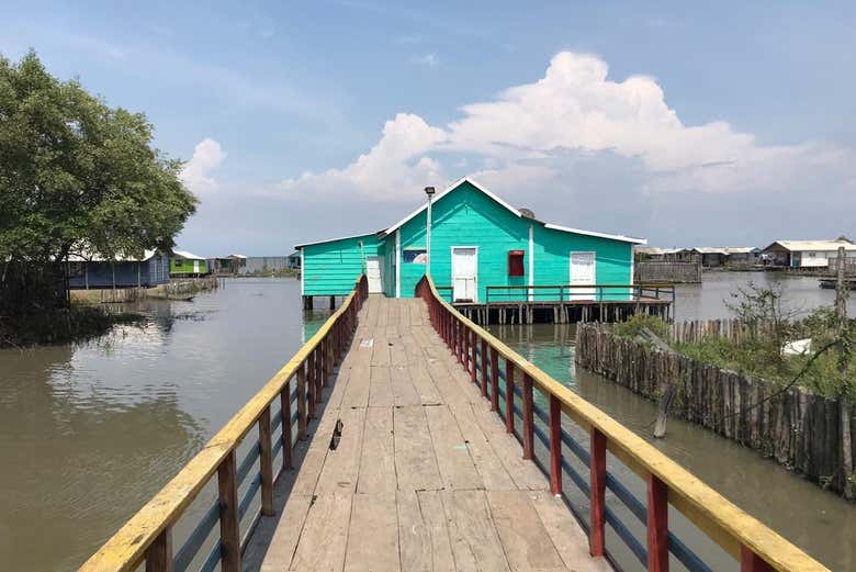 Excursión a la Ciénaga Grande de Santa Marta