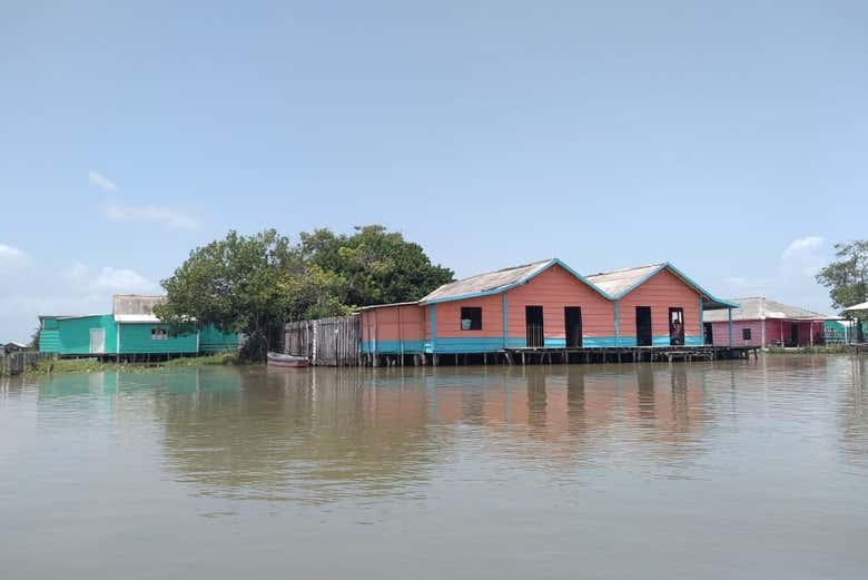 Excursión a la Ciénaga Grande de Santa Marta