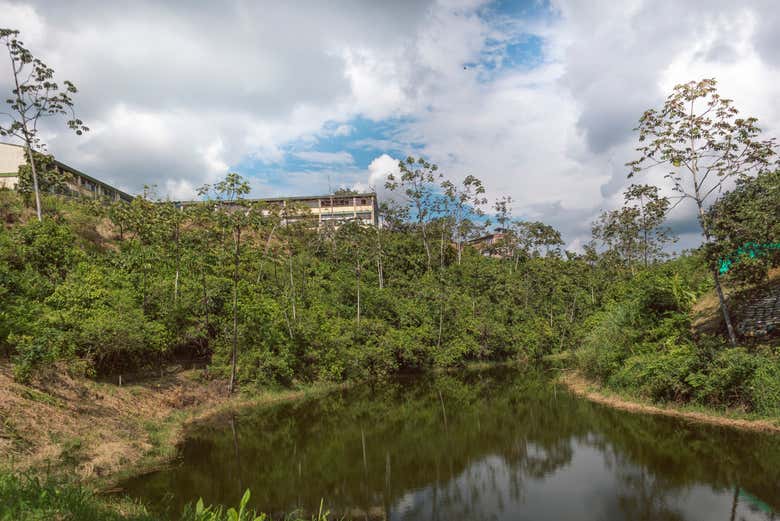 Excursión a la Ciénaga Grande de Santa Marta