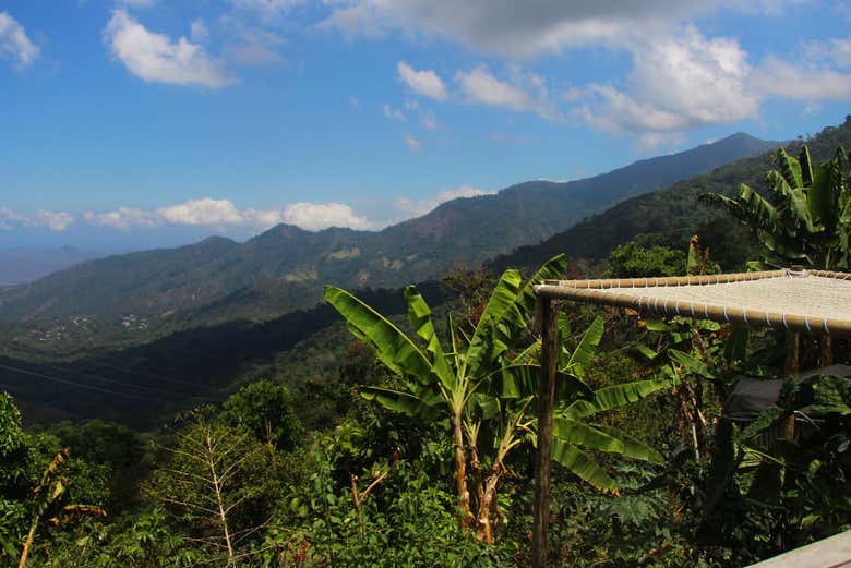 Excursión a Minca