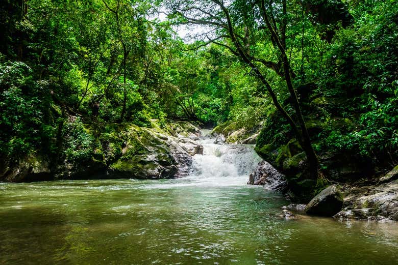 Excursión a Minca