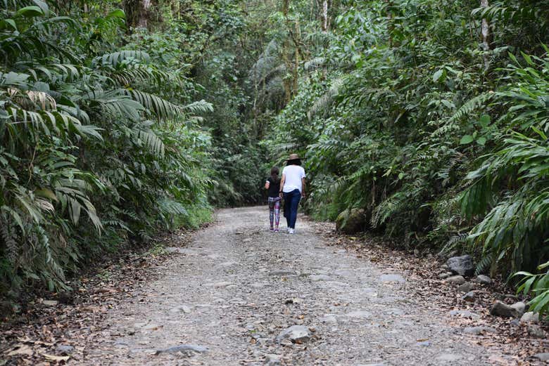 Senderismo por el Santuario Otún Quimbaya