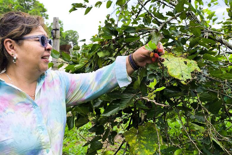 Excursión a la laguna El Tabacal + Visita a la finca Gallito Torres