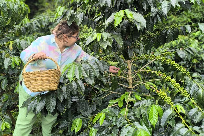Excursión a la laguna El Tabacal + Visita a la finca Gallito Torres