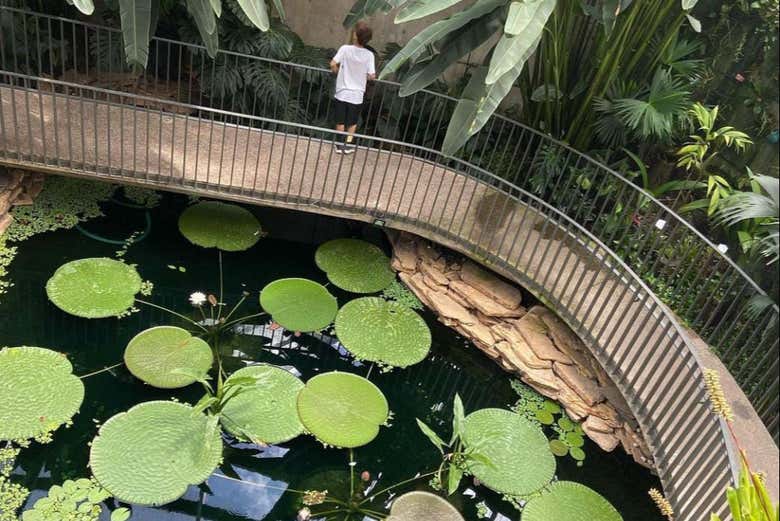 Tour por el Jardín Botánico de Bogotá
