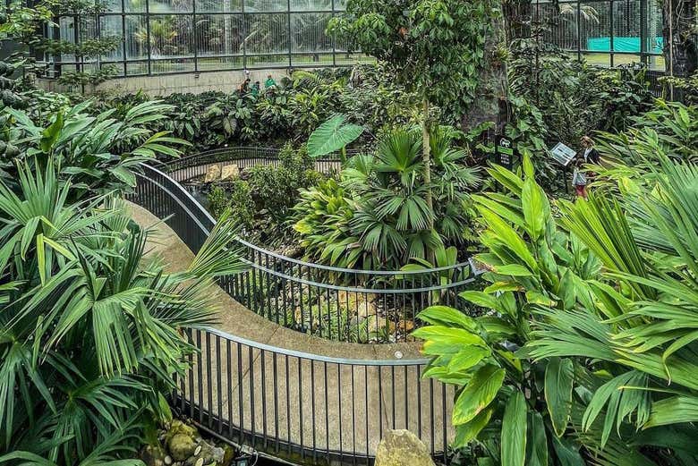 Tour por el Jardín Botánico de Bogotá