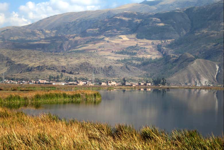 Avistamiento de aves en la laguna de Huacarpay