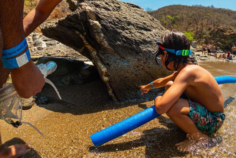 Snorkel en el Parque Tayrona