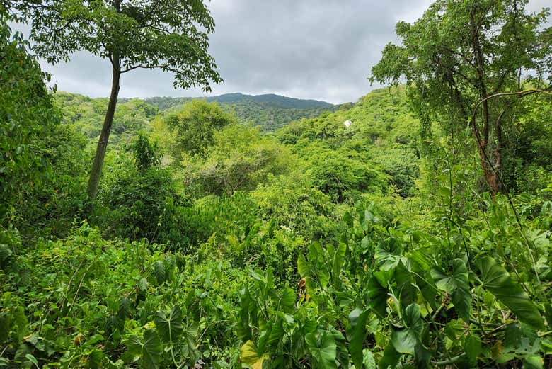 Excursión al Parque Tayrona