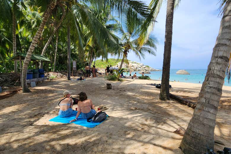 Excursión al Parque Tayrona