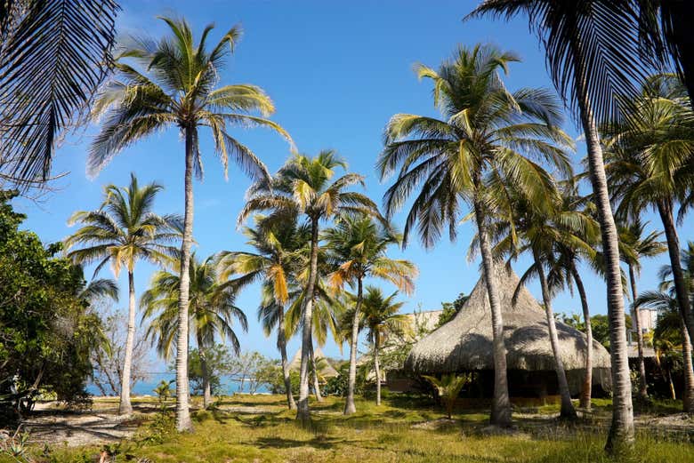 Excursión a las Islas del Rosario