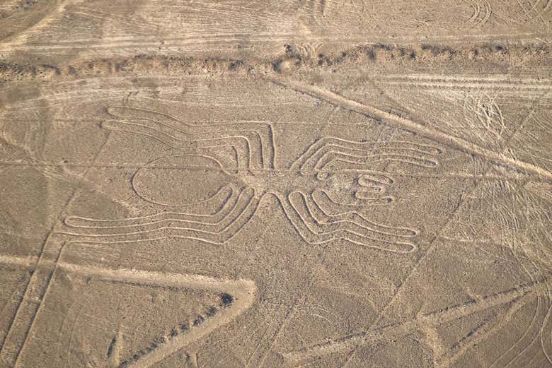 Vuelo sobre las Líneas de Nazca
