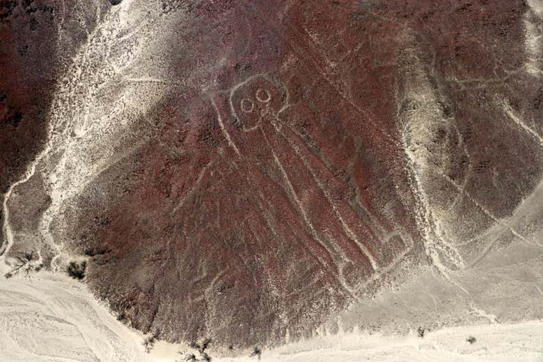Vuelo sobre las Líneas de Nazca