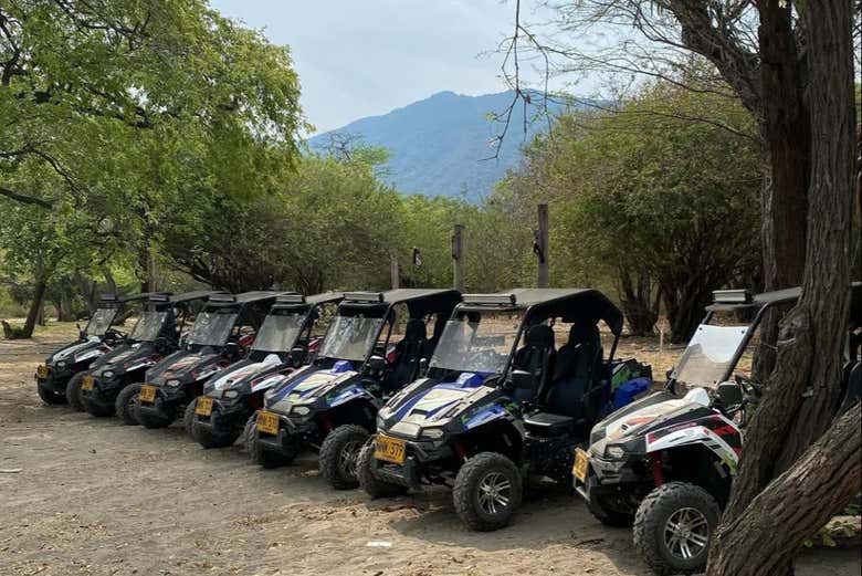 Tour en buggy por Bonda