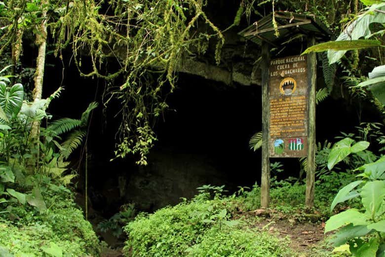 Senderismo por las cuevas de Tenjo