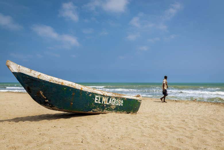 Excursión a Palomino