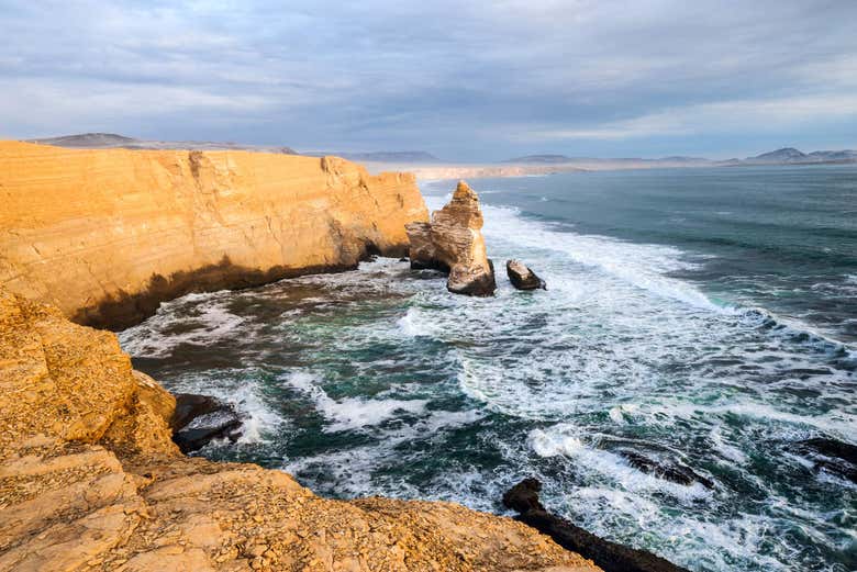 Excursión a las islas Ballestas y la Reserva Nacional de Paracas