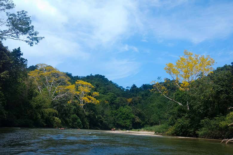 Senderismo por el río Don Diego con avistamiento de aves