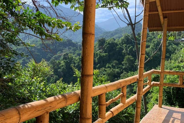 Senderismo por la Selva de Minca