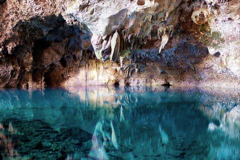 Excursión a Santo Domingo