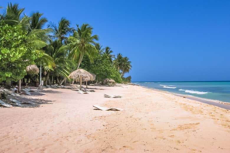 Tour por las playas de isla Saona