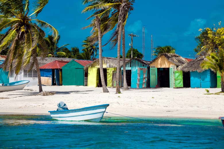 Tour por las playas de isla Saona