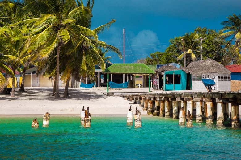 Tour por las playas de isla Saona