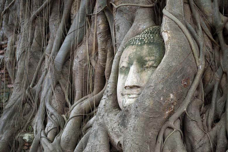 Mercado sobre las vías, mercado flotante y ruinas de Ayutthaya