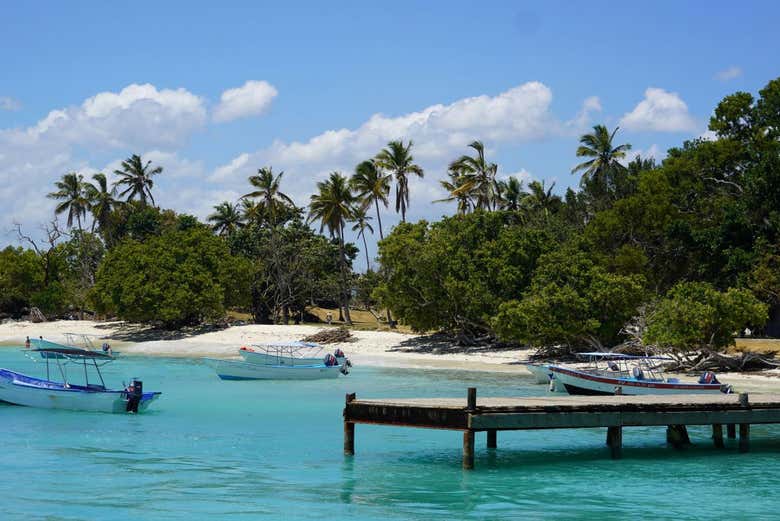 Excursión a Samaná