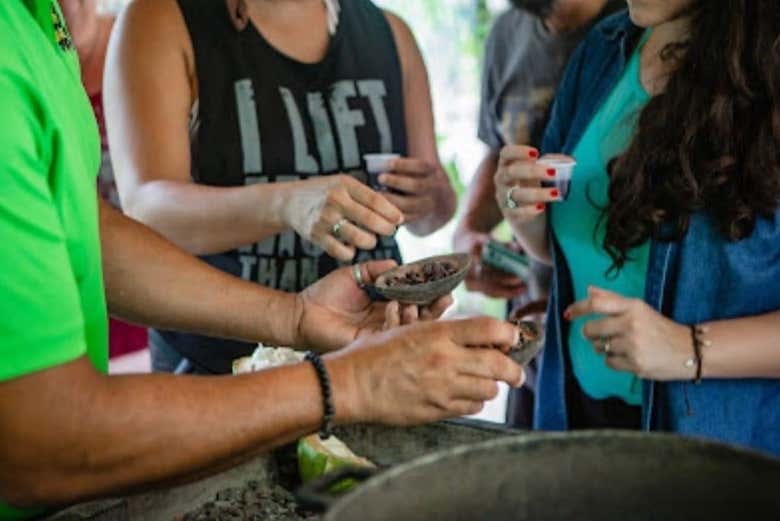 Tour del café y el cacao