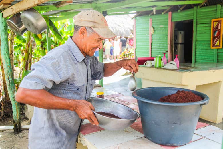 Tour del café y el cacao