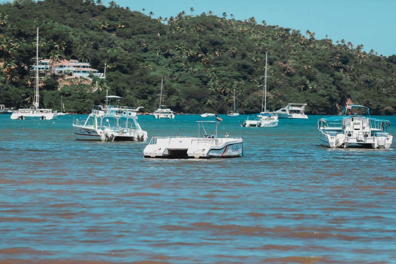 Free tour por Samaná