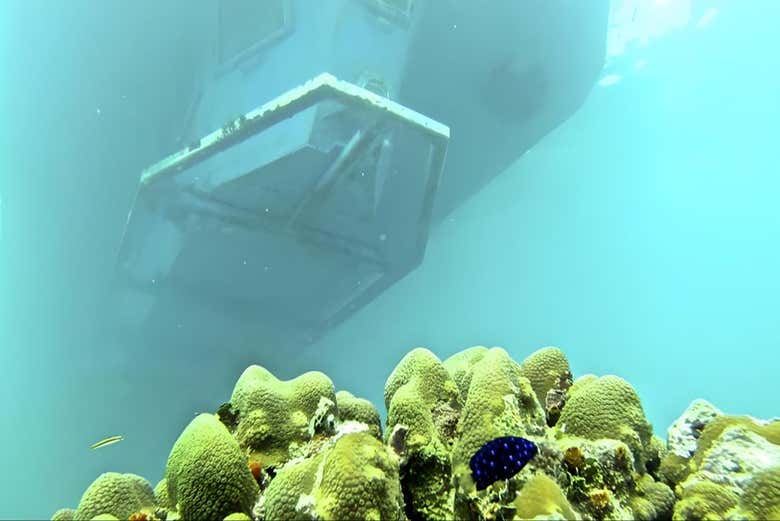 Excursión a isla Saona en barco con visión submarina
