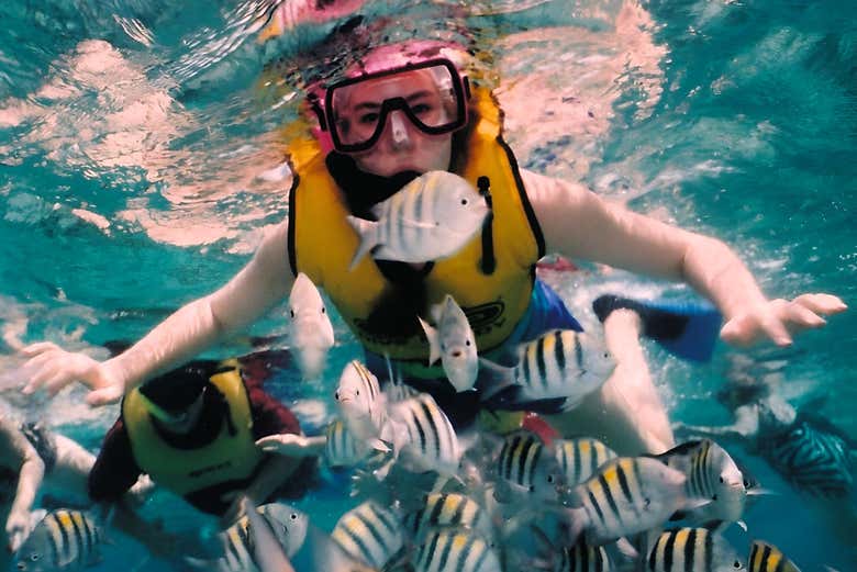 Excursión a isla Saona en barco con visión submarina