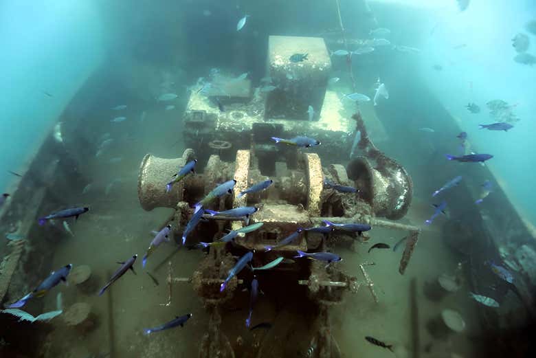 Excursión a isla Saona en barco con visión submarina